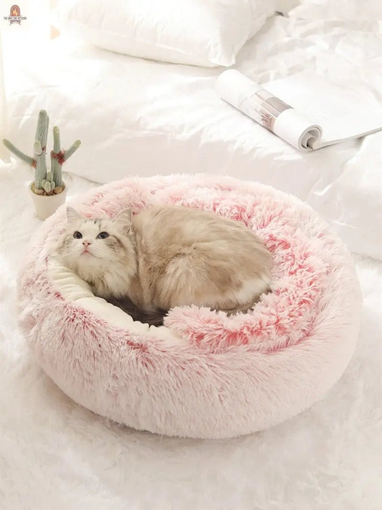 2-in1 Pet Bed - Nine One Network
