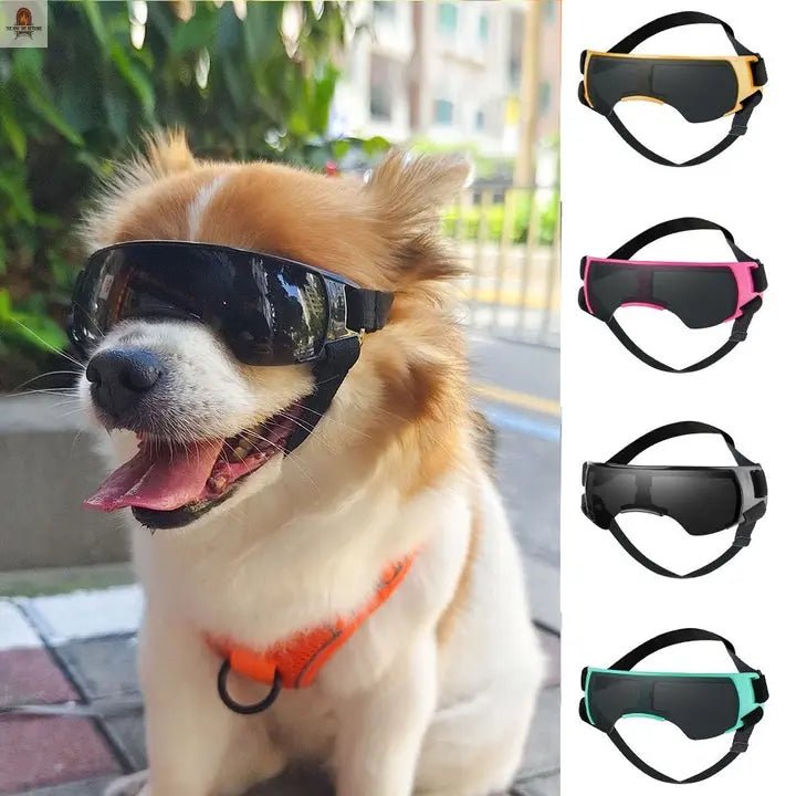 Dog Sun-proof Sun-proof UV-proof Goggles glasses - Nine One Network