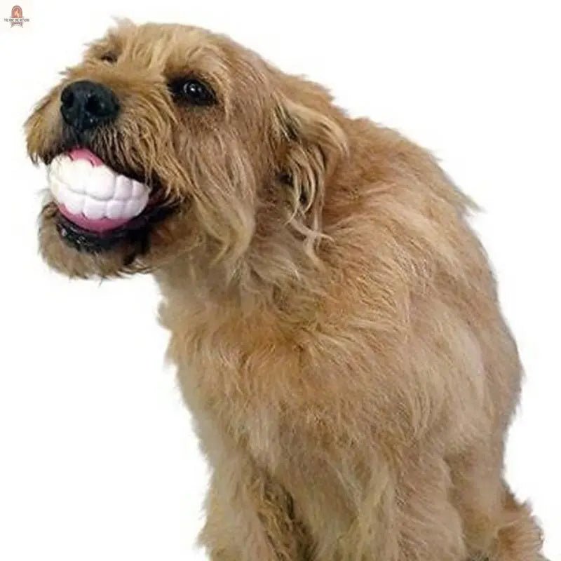 Pet Ball Teeth Silicon Chew Toys for Large Breeds - Nine One Network