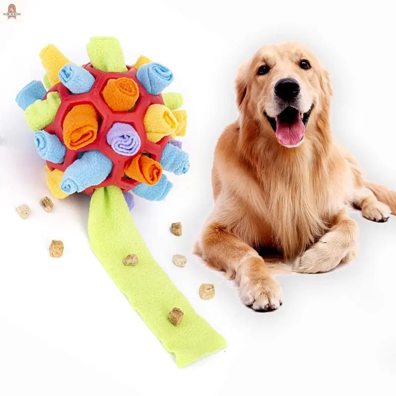 Pet Dog Sniff & Snack Puzzle Ball Train'n'Treat Snuffle Ball Canine Enrichment Nose Pad Toys - Nine One Network