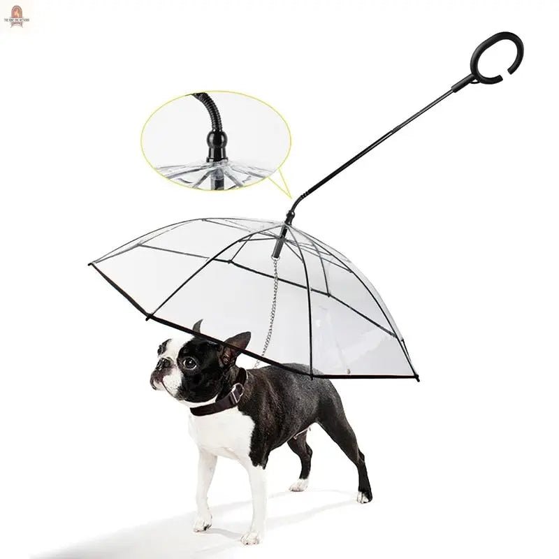 Pet Transparent Umbrella - Nine One Network