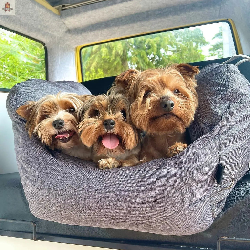 Pet Travel Bed - Nine One Network