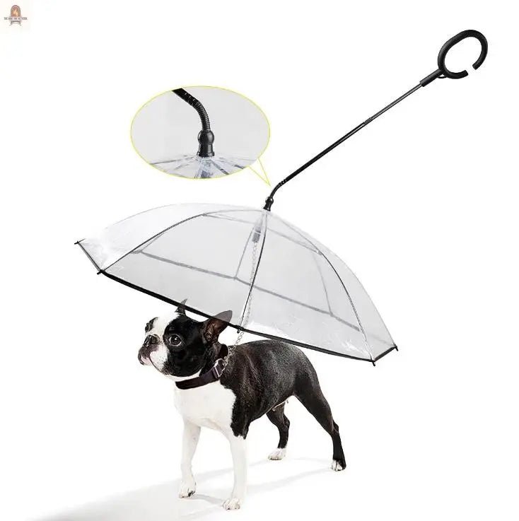 Transparent Pet Umbrella - Nine One Network